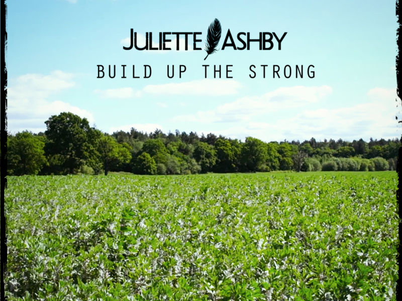 Build up the Strong - EP