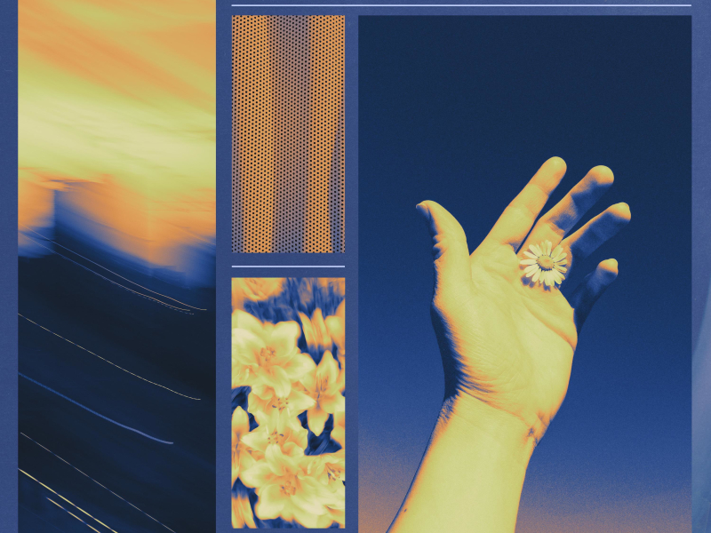 If I Will Be Honest (Single)