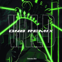 Wild (Jungle Queen Remix) (Single)