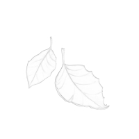 still healing (Single)