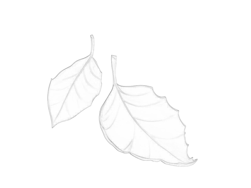 still healing (Single)