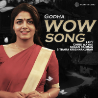 Wow Song (Lofi) (Single)