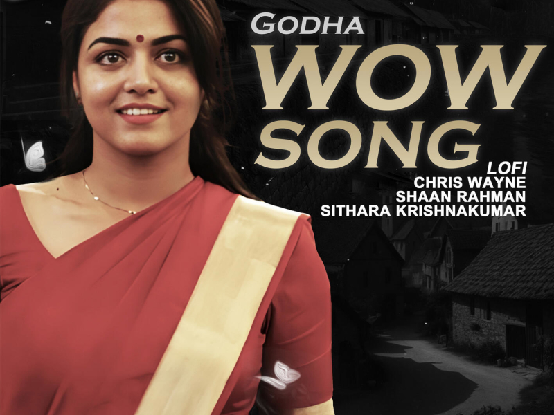 Wow Song (Lofi) (Single)