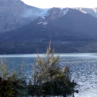 Sekar jagad (Cover) (Single)