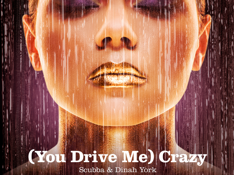(You Drive Me) Crazy (Single)