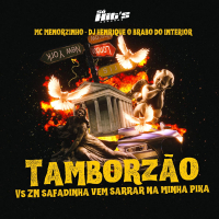 Tamborzão Vs ZN Safadinha Vem Sarrar na Minha Pika (Single)
