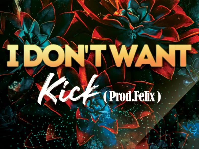 i don't want (Single)
