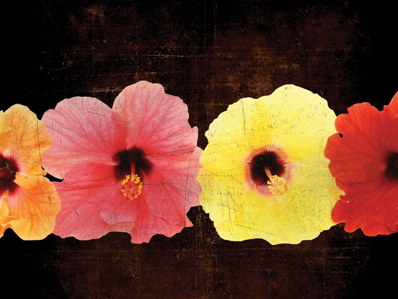 Live From Hawaii...The Farewell Concert