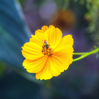 나를 구원하소서 주님