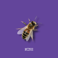 Mine (Single)