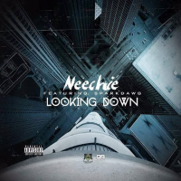 Looking Down (Single)