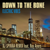 Electric Vibes (DJ Spinna Remix) (Single)
