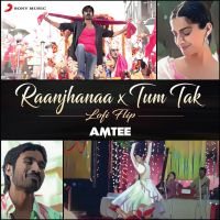 Raanjhanaa X Tum Tak (Lofi Flip) (Single)