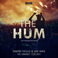 The Hum (Lost Frequencies Remix) (EP)