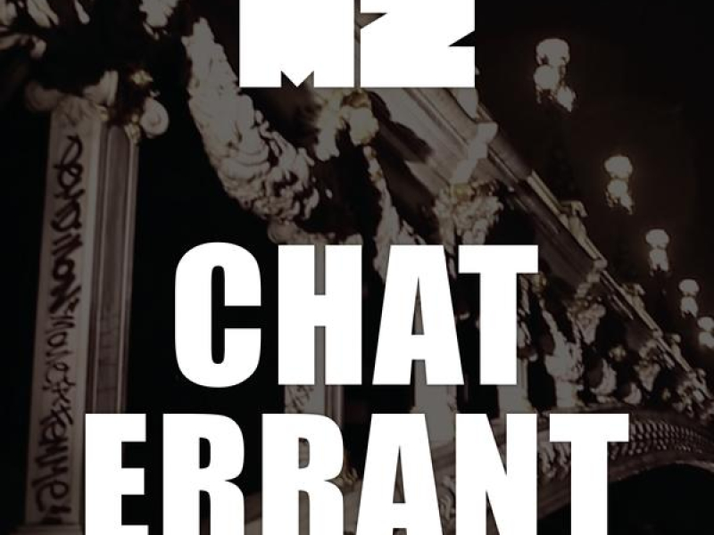 Chat errant