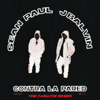 Contra La Pared (The FaNaTiX Remix) (Single)
