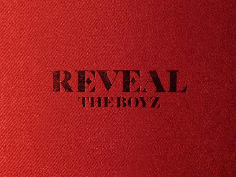 THE BOYZ 1ST ALBUM [REVEAL]