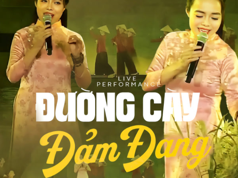 Đường Cày Đảm Đang