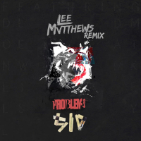 Problems (Lee Mvtthews Remix) (Single)