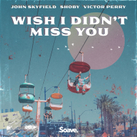 Wish I Didn't Miss You (Single)