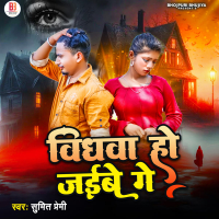 Vidhwa Ho Jaibe Ge (Single)