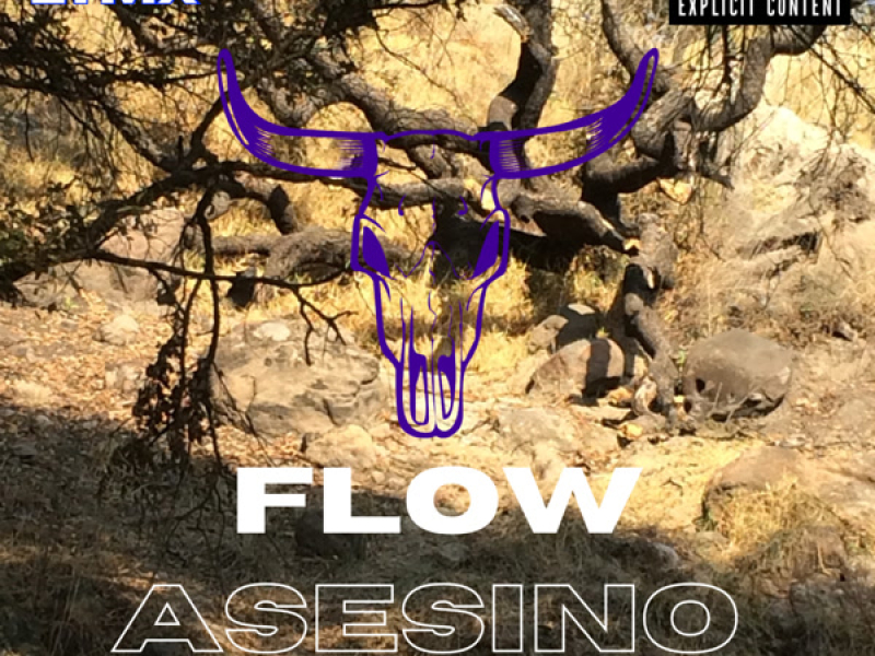 Flow Asesino (Single)