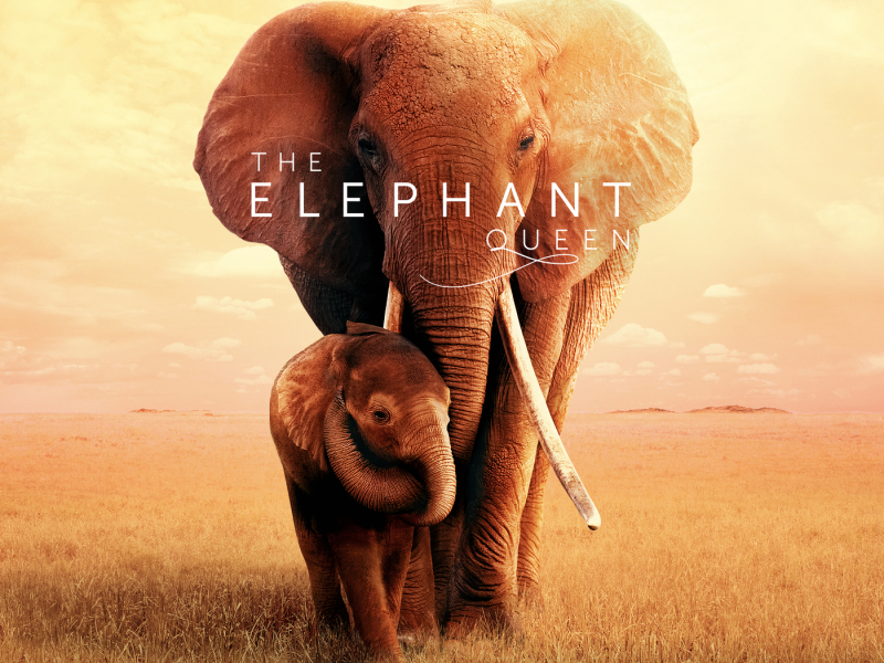 The Elephant Queen (Original Motion Picture Soundtrack)