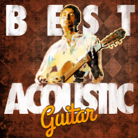 Best Acoustic Guitar