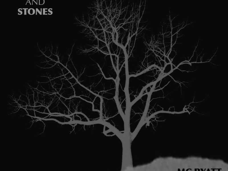 Sticks And Stones (feat. SpliphGhod & MC Ryatt) (Single)