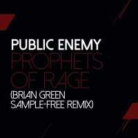 Prophets Of Rage (Brian Green Remix) (Single)
