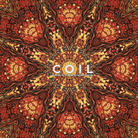 Stolen & Contaminated Songs