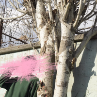 sentimientos de cristal (Single)