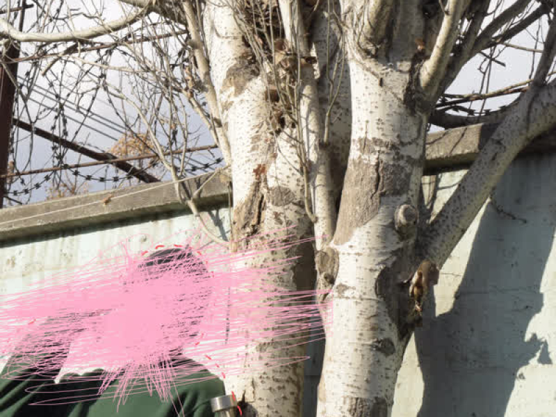 sentimientos de cristal (Single)