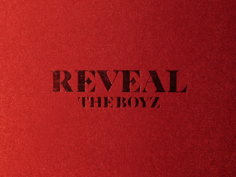 THE BOYZ 1ST ALBUM [REVEAL]