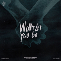 Won't Let You Go (Remix Contest Winners) (Single)