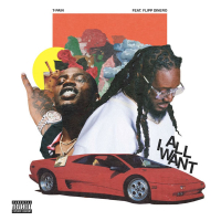 All I Want (Single)