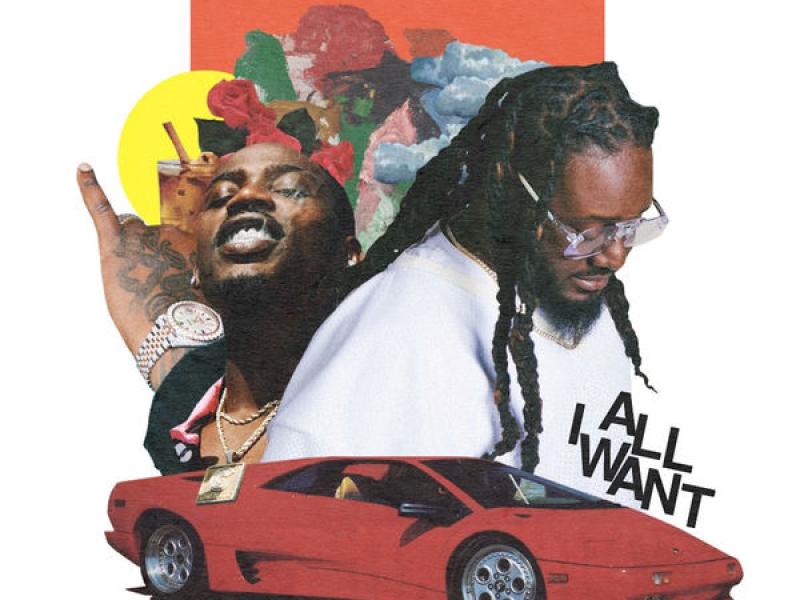 All I Want (Single)