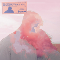 Somebody Like You (Single)