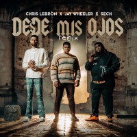 Desde Mis Ojos (Remix) (Single)