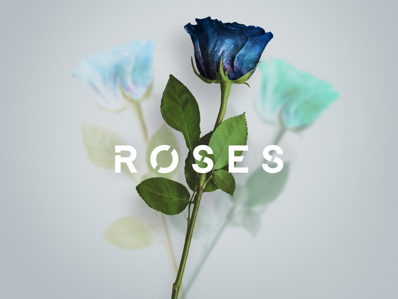 Roses (Single)