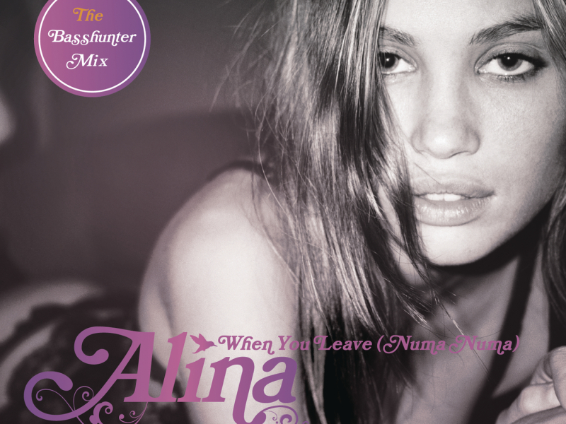 When You Leave (Numa Numa) (Basshunter Radio Mix)