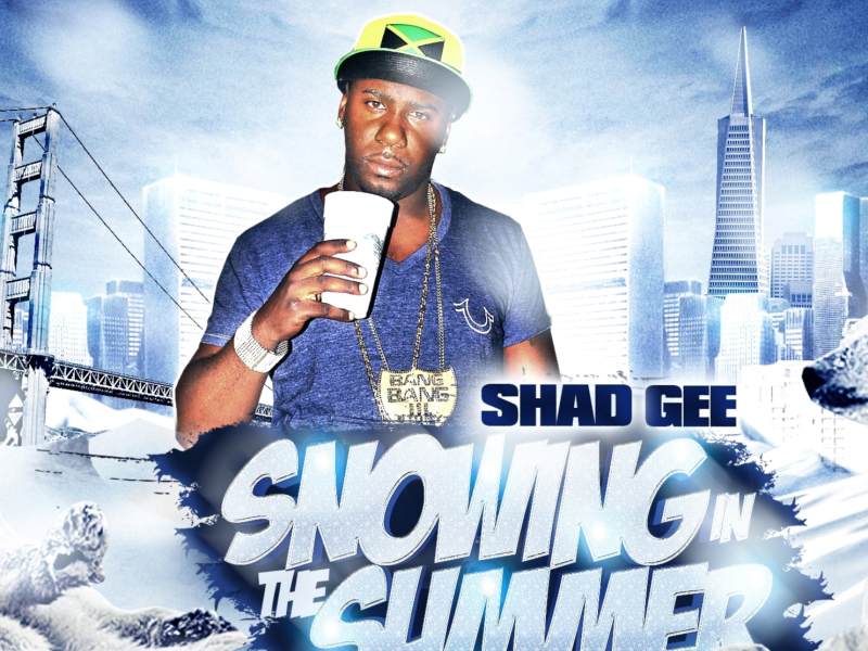 Snowing in the Summer