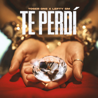 Te Perdí (Single)