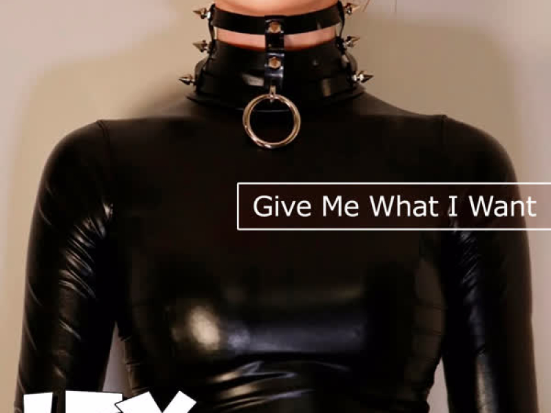 Give Me What I Want (Single)