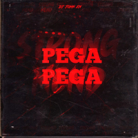 MTG PEGA PEGA (Single)
