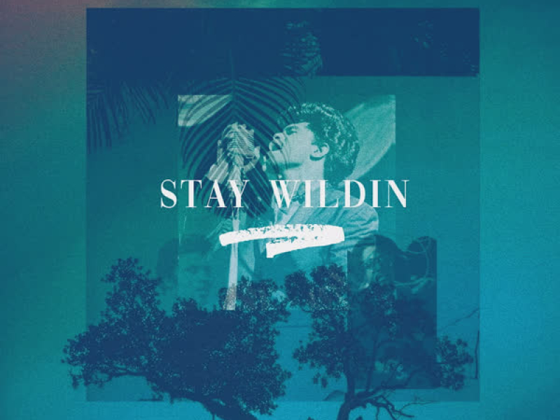 Lazee & Ruz Beatz - Stay Wildin' (Single)