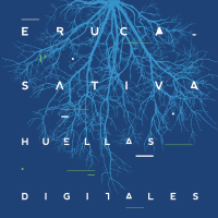 Huellas Digitales (En Vivo)