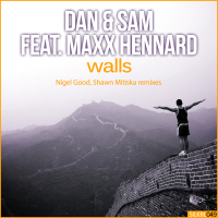 Walls (Single)