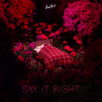Say It Right (Single)