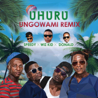Ungowami (Remix) (Single)